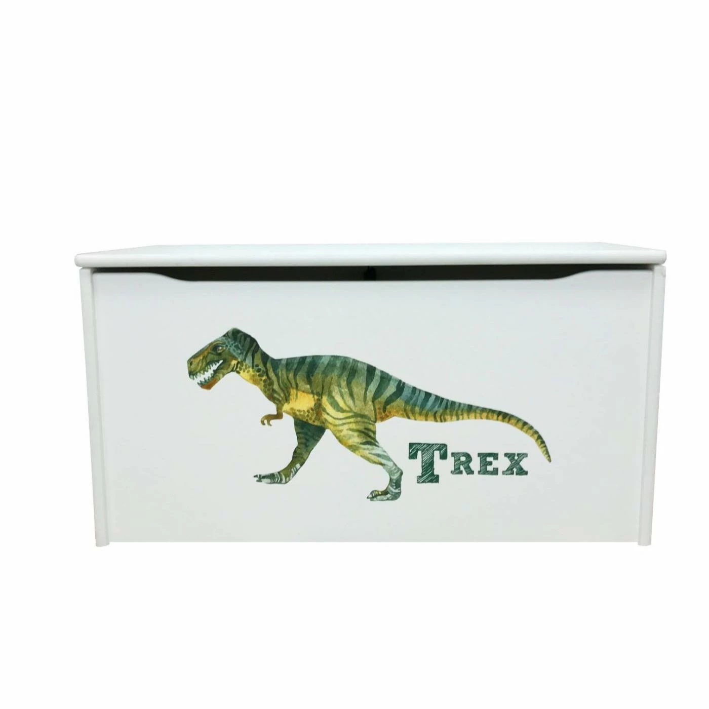 Deals π Toy Boxes Little Colorado Little Prints T-Rex Toy Storage Box π